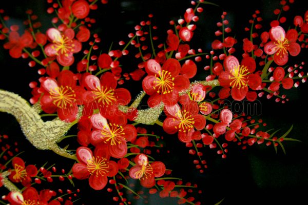 Fleur de Prunier - Fond Noir (réf. 7D-8519) – Image 5