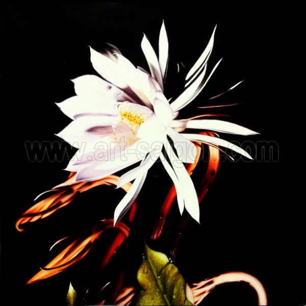 Fleur (réf. 7D-8434) – Image 3