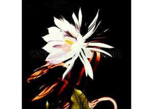 Fleur (réf. 7D-8434)
