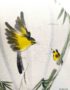 Lampion en Tissu de Lin de la ville de Hoi An au Vietnam peint à la main. Motif Bambou et Couple d'oiseaux. Lanterne Asiatique en Tissu, Bambou et Bois. Article vendu par la Boutique Art-saigon.com