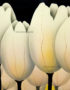 Tableau en Bois Laqué Peint, Fabriqué à la main, Motif Fleur de Tulipe. Peinture et Panneau Murale du Vietnam. Décoration et Artisanat Asiatique | Article vendu par la Boutique Art-Saigon.com