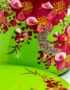Boîte en Bois Laqué Vert, Motif Fleur de Cerisier, Fabriqué à la main | Décoration et Artisanat Asiatique - Article vendu par la Boutique Art-Saigon.com